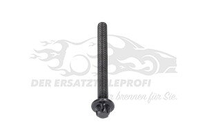 110564592R Zylinderkopfschraubensatz (VPE 10 Stück) 