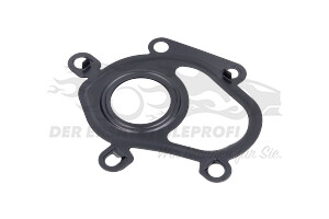 144156377R Dichtung für Turbolader 