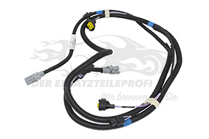 240700792R Kabelstrang - Stoßstange vorne Renault