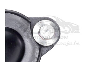 150507100R Ölpumpensieb Renault