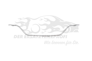 Zier- Schutzleiste für Stoßfänger 623851530R