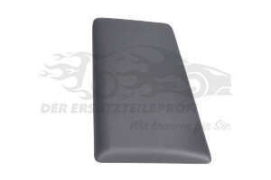 8200036099 Zierleiste hinten links Renault