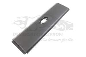 768E00001R Zierleiste hinten oben links Renault