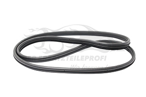 769238392R Türdichtung Hintertüren Renault