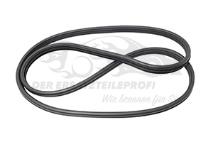 Türdichtung Renault 769238392R
