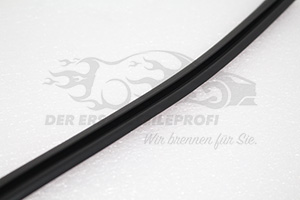 828379380R Türdichtung B-Säule links oben Renault