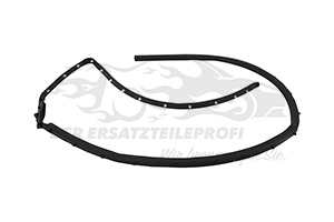 828388679R Türdichtung Hintertür links unten Renault