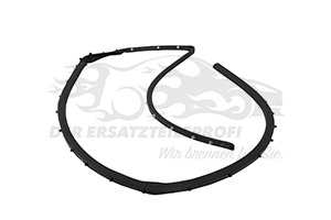828388679R Türdichtung Hintertür links unten Renault