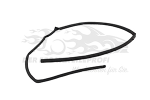 828388679R Türdichtung Hintertür links unten Renault