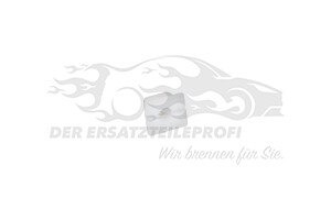 1612480580 PLASTIK-MUTTER Citroen / Peugeot / Opel