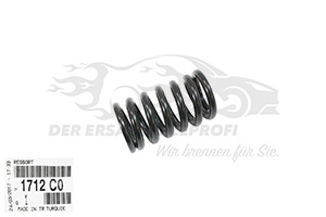 Original Citroen / Peugeot / Opel Auspuff-Feder