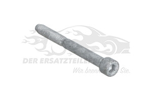 Schraube für Düsenhalter Citroen / Peugeot / Opel 1692660280