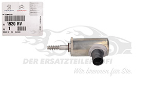 Stellelement für Exzenterwelle