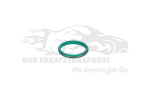 DUESE DICHTUNG