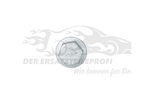 1692647580 Schraube, Bremssattel Citroen / Peugeot / Opel