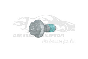 1692647580 Schraube, Bremssattel Citroen / Peugeot / Opel