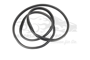 1693401280 Dichtung, Türrahmen Citroen / Peugeot / Opel