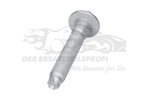 9800751780 Schraube für Stoßdämpfer unten Vorderachse Citroen