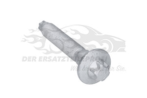 Schraube für Stoßdämpfer Citroen 9800751780