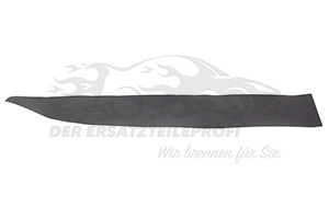 Zierleiste hinten links