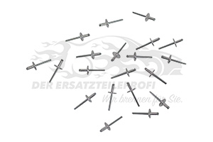 7703072424 Niete für Stoßfänger (VPE 20) 