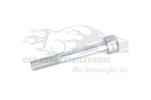 Schraube für Spannrolle Renault 2812615900