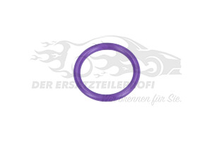 Dichtung für Verbindungsrohr