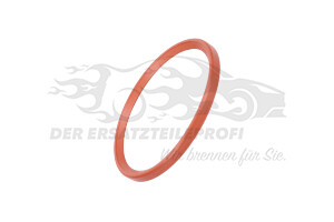7701071318 Dichtring für Turboladerschlauch Renault