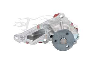 210107490R Wasserpumpe Renault