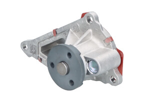 210107490R Wasserpumpe Renault