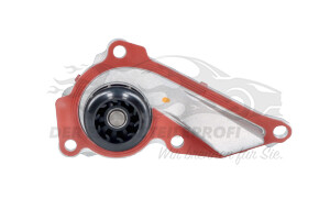 210107490R Wasserpumpe Renault