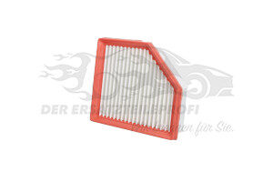 Luftfilter 165466RA0A