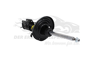 543020030R Stoßdämpfer vorne 