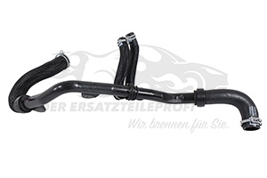 215015121R Kühlerschlauch links Renault