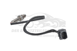 226A42850R Stickoxid-Sonde / NOx-Sonde 