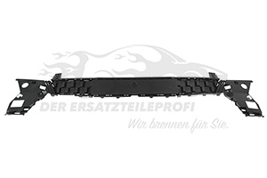 Lüftungsgitter für Stoßstange vorne oben