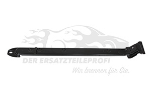 777645889R Rollenführung für Türscharnier mitte Renault