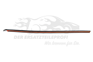 823885577R Türdichtung B-Säule rechts unten Renault