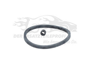 95516103 Dieselfiltereinsatz Opel