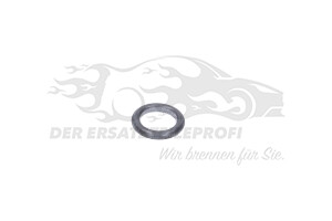 117026 Ringdichtung, Ölpeilstab (VPE 5) Citroen