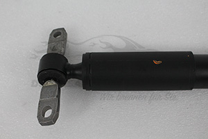 9826243280 Stoßdämpfer hinten Citroen