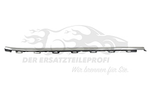 Dichtleiste, Türscheibe vorne rechts aussen