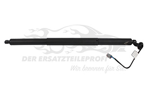 Heckklappendämpfer links