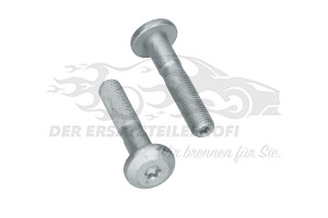 Schraube für Querlenker Citroen 352277