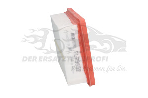 165464877R Luftfilter 