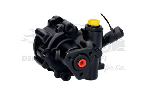 Servolenkungspumpe 491103834R