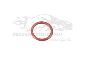Dichtung Ölpeilstab unten