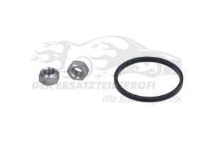 7701210053 Bremskraftverstärker Renault