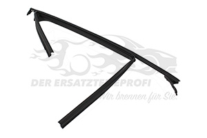 Fensterdichtung (Seitenscheibe)