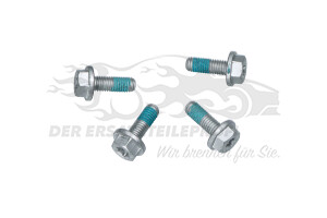 80A698451R Bremsbeläge hinten 